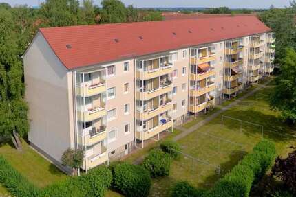 Wohnung zum Mieten in Wolgast 286 € 46 m²