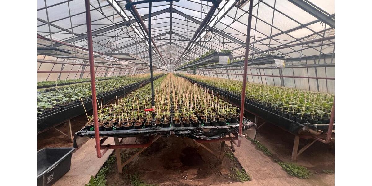 Gewerbeobjekt Obertshausen - 2&euro; | Angebot:20110778