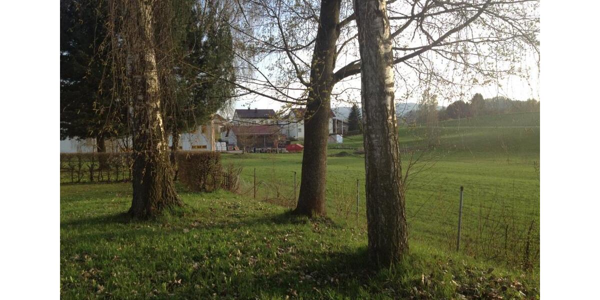 Dachgeschoßwohnung Zachenberg - 2 Zimmer, 30 m&sup2;, 210&euro; | Angebot:23308243