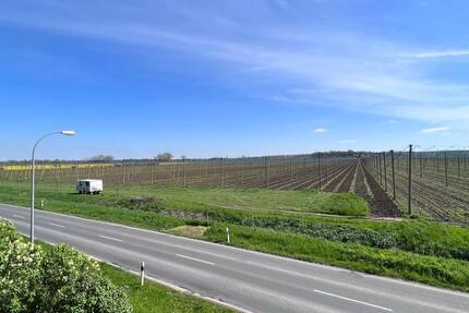 Wohnung Querfurt - 2 Zimmer, 74 m&sup2;, 410&euro; | Angebot:26123967