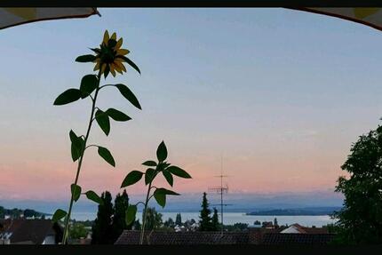 Wohnen auf Zeit Überlingen - 17 Zimmer, 76 m&sup2;, 500&euro; | Angebot:25173811