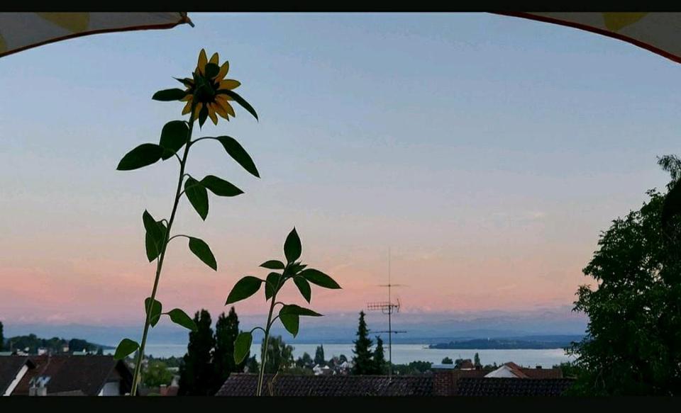 Wohnen auf Zeit Überlingen - 17 Zimmer, 76 m&sup2;, 500&euro; | Angebot:25173811