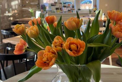 Besichtigung 22.12.! Ruhe genießen im großen eigenen Garten mit Terrasse - ab sofort 3 zimmer