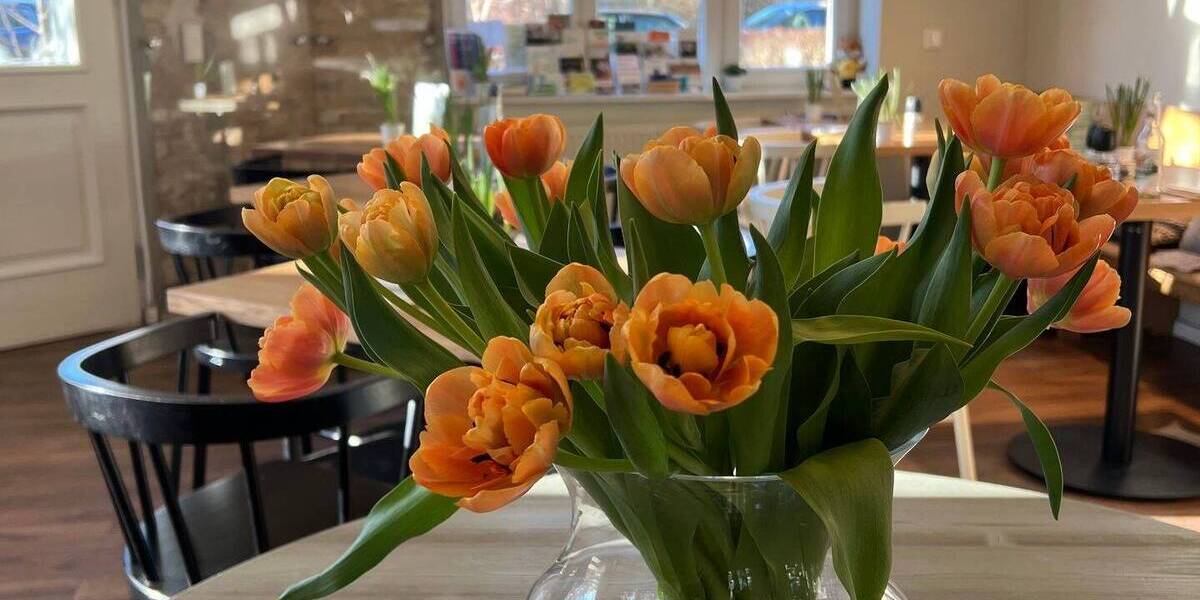 Besichtigung 22.12.! Ruhe genießen im großen eigenen Garten mit Terrasse - ab sofort 3 zimmer