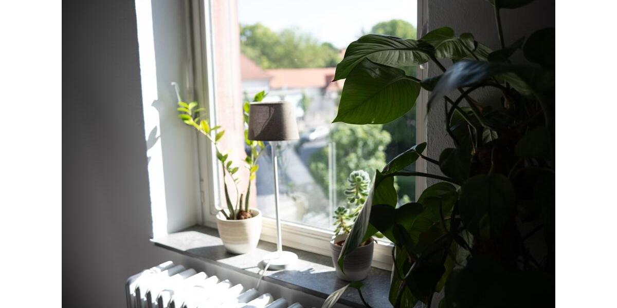 Gewerbeobjekt Ober-Mörlen Mörlen - 24 Zimmer, 24 m&sup2;, 20&euro; | Angebot:24750702