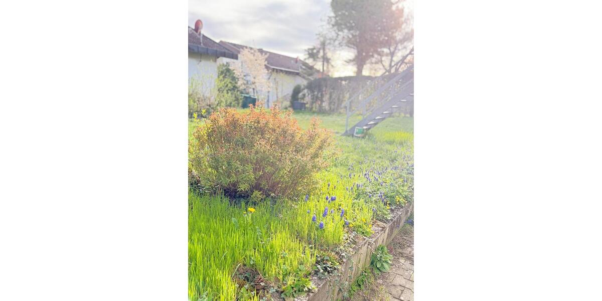 Etagenwohnung Göppingen Faurndau - 2 Zimmer, 65 m&sup2;, 700&euro; | Angebot:26050731