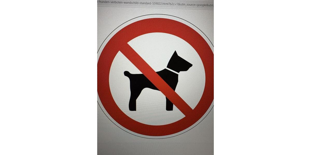 Etagenwohnung Gauting - 2 Zimmer, 56 m&sup2;, 1.050&euro; | Angebot:25652545