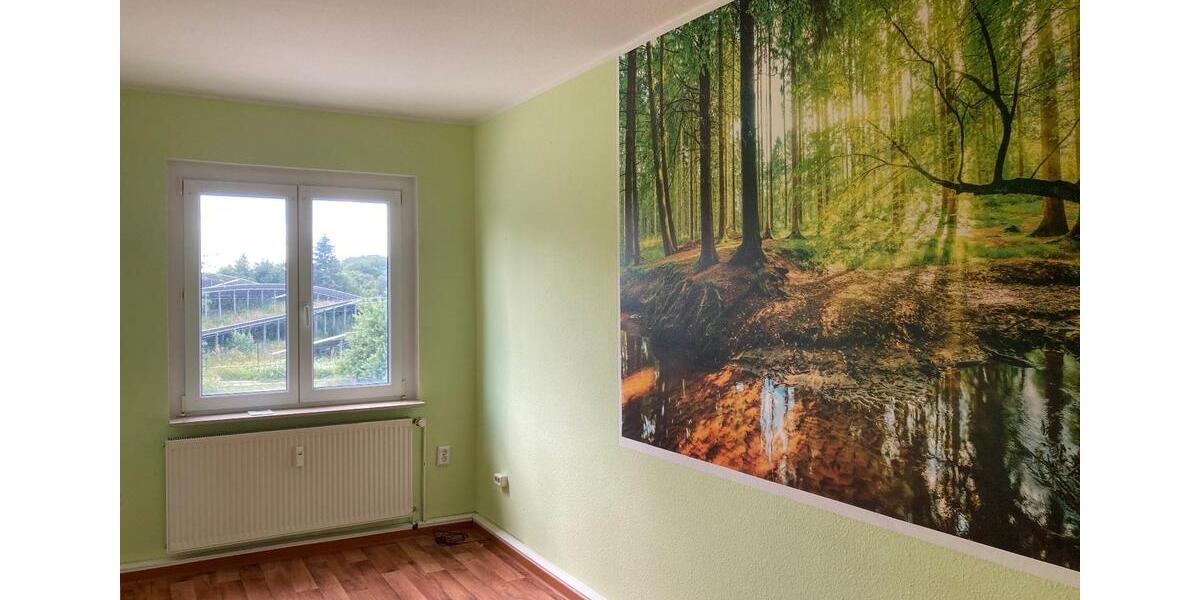 schöne helle 4-Raum Wohnung in Hüttenrode mit Gartennutzung 4 zimmer