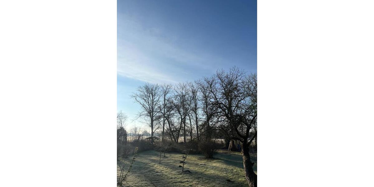 Etagenwohnung Egeln - 1 Zimmer, 46 m&sup2;, 285&euro; | Angebot:25789843