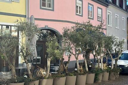 Mietwohnungen, Wohnung 4 zimmer