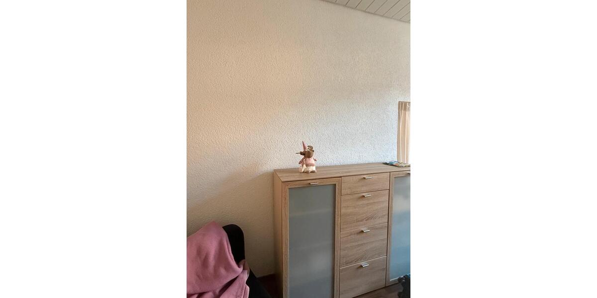 Wohnen auf Zeit Hirschhorn (Neckar) - 21 Zimmer, 97 m&sup2;, 527&euro; | Angebot:25844224
