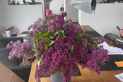 Wohnung Osnabrück Dodesheide - 19 Zimmer, 110 m&sup2;, 650&euro; | Angebot:25259293