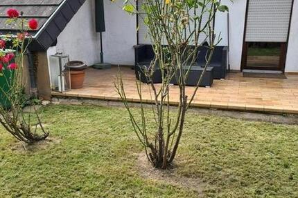 Wohnung Breisach am Rhein - 3 Zimmer, 100 m&sup2;, 1.100&euro; | Angebot:25143653