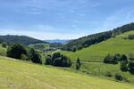 Gewerbeobjekt Kleines Wiesental - 3.000&euro; | Angebot:24154604