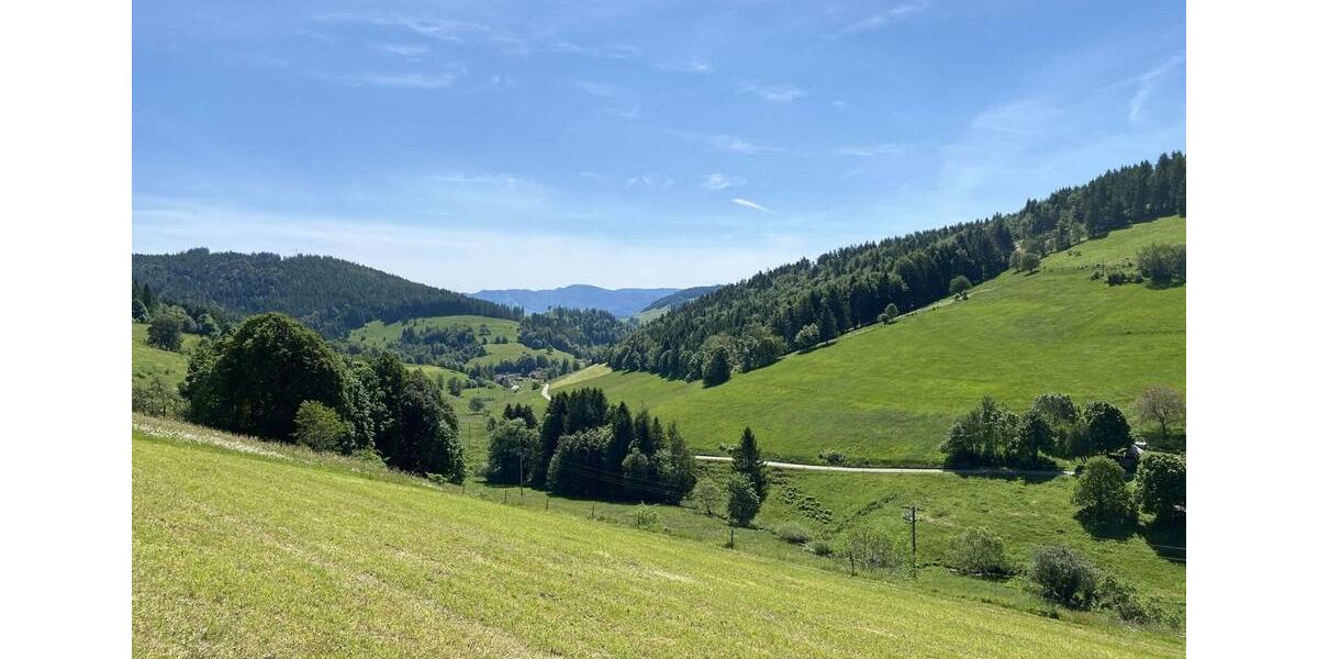 Gewerbeobjekt Kleines Wiesental - 5.000&euro; | Angebot:24154604