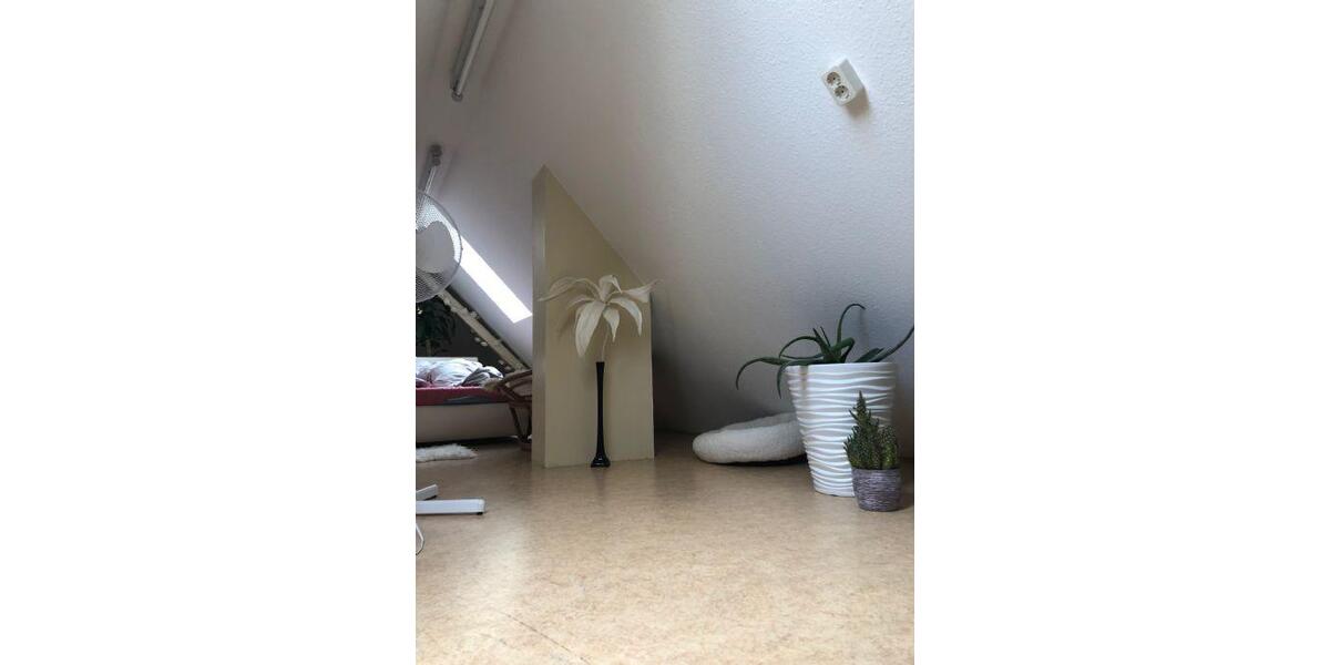 Maisonettenwohnung Saalfeld (Saale) - 2 Zimmer, 25 m&sup2;, 300&euro; | Angebot:26219744