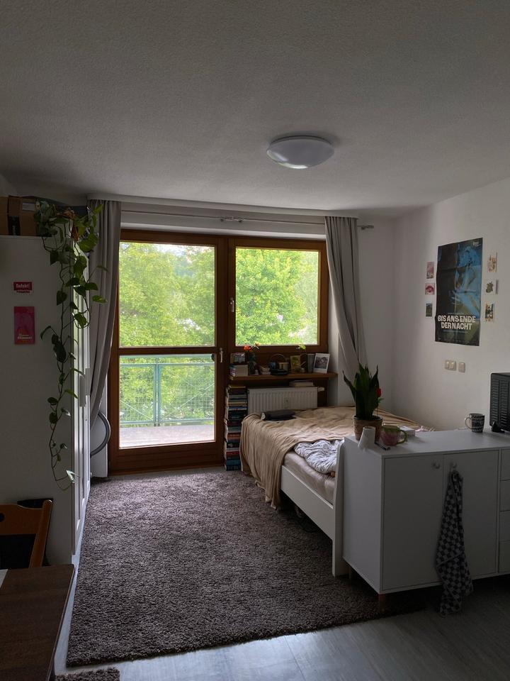 Schöne helle EinZimmerwohnung