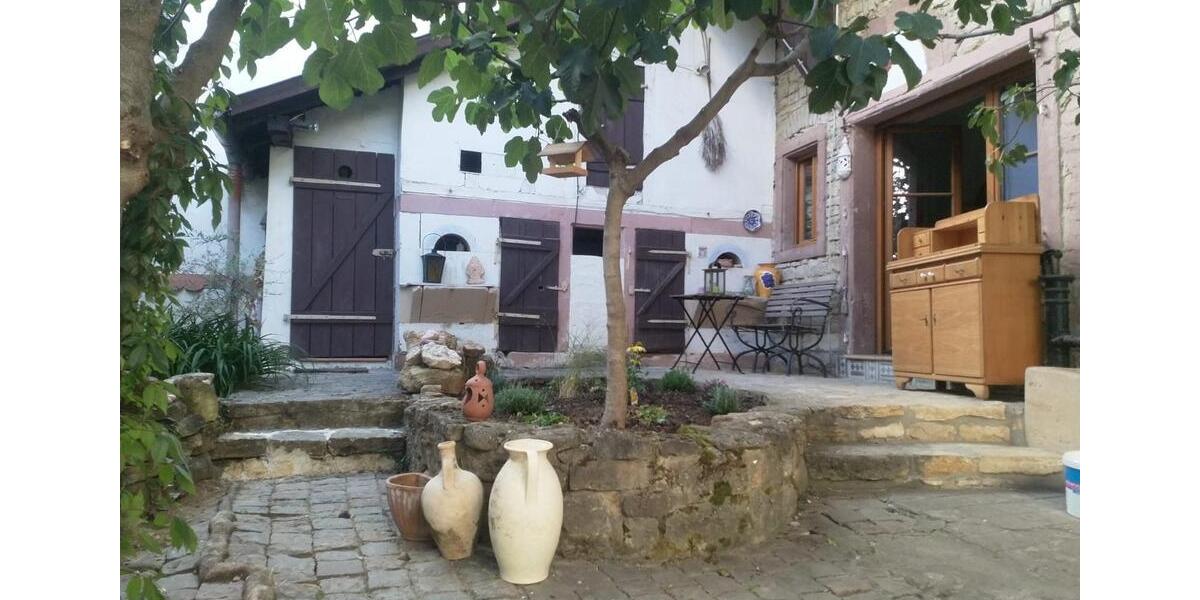 Erdgeschoßwohnung Kindenheim - 1 Zimmer, 34 m&sup2;, 255&euro; | Angebot:25516757