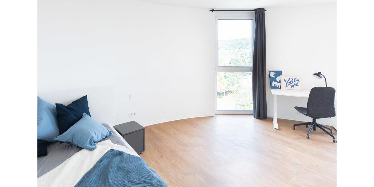 Wohnen auf Zeit Aachen Aachen-Mitte - 1 Zimmer, 34 m&sup2;, 750&euro; | Angebot:26236308
