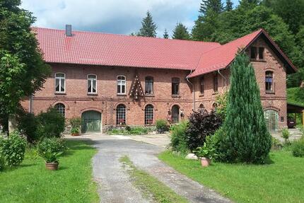 Wohnung Herzberg am Harz - 2 Zimmer, 80 m&sup2;, 230&euro; | Angebot:26544662