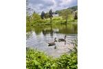 Erdgeschoßwohnung Willingen (Upland) - 1 Zimmer, 33 m&sup2;, 430&euro; | Angebot:26624514