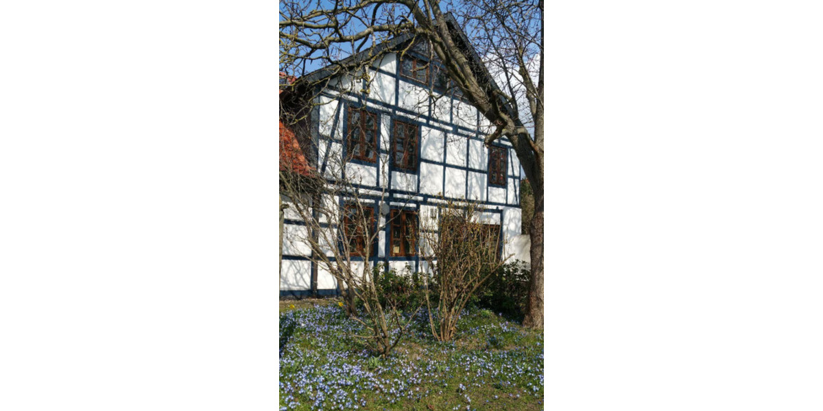 Großes&helles Zimmer -ideal auch zu 2t- im Fachwerkhaus+Garten WG 1 zimmer