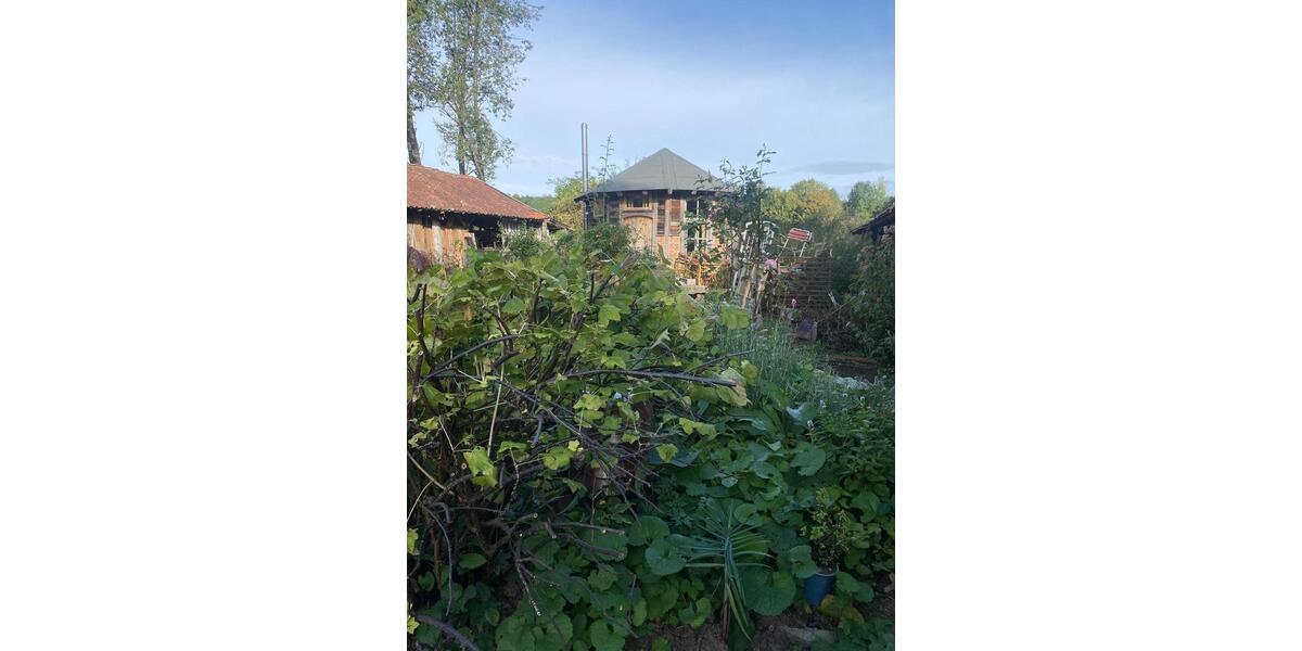 Etagenwohnung Lemgo - 1 Zimmer, 16 m&sup2;, 500&euro; | Angebot:24429798