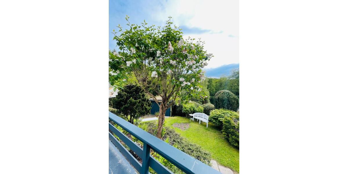 Einfamilienhaus Schuld - 2 Zimmer, 60 m&sup2;, 850&euro; | Angebot:26639488