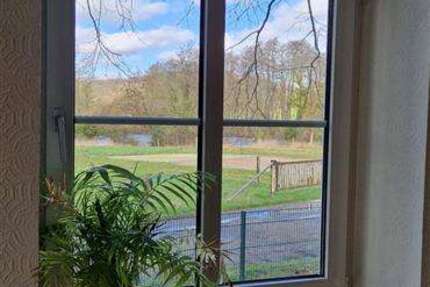 Wohnung zum Mieten in Aachen 274 € 25 m² 1 zimmer
