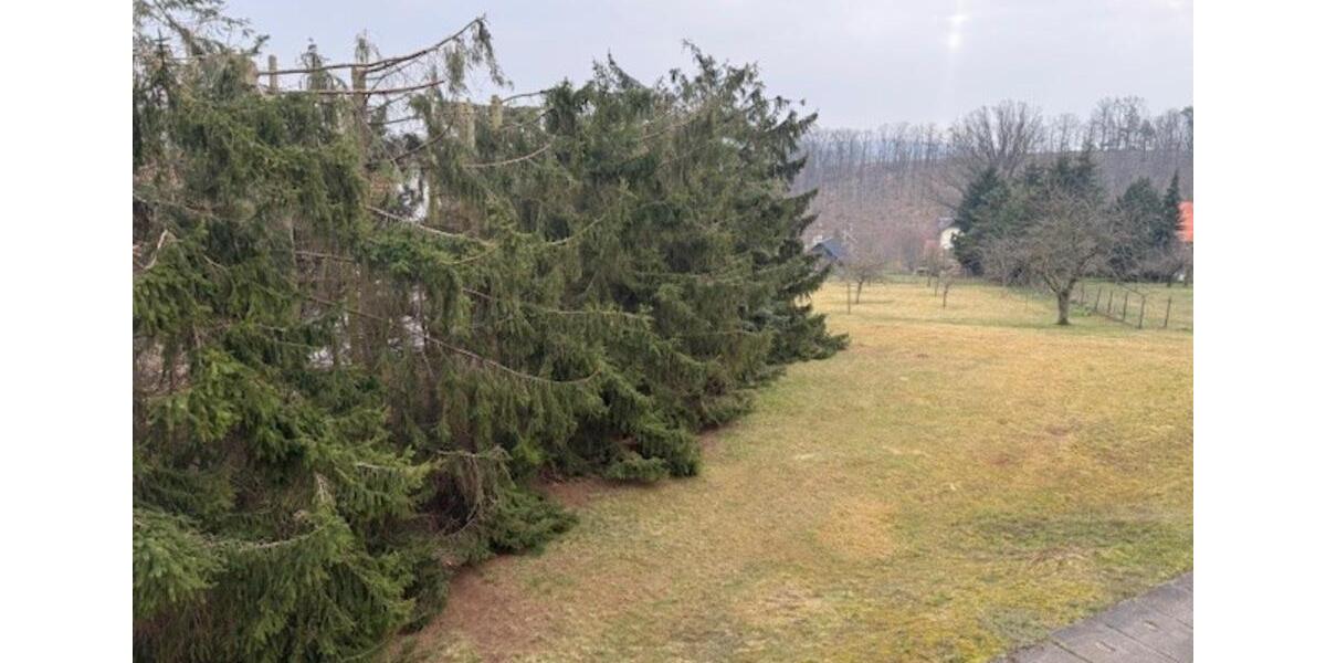 Etagenwohnung Wilsdruff - 2 Zimmer, 48 m&sup2;, 286&euro; | Angebot:25327303