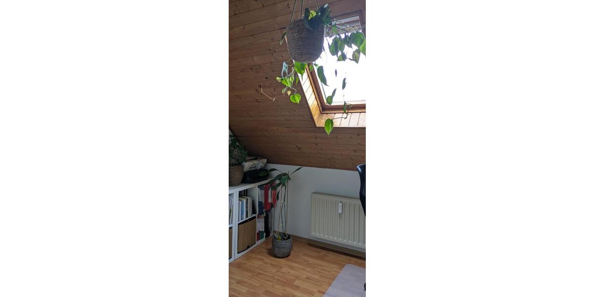 Dachgeschoßwohnung Scheuerfeld - 3 Zimmer, 90 m&sup2;, 700&euro; | Angebot:26551735