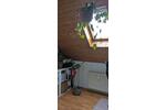Dachgeschoßwohnung Scheuerfeld - 3 Zimmer, 90 m&sup2;, 700&euro; | Angebot:26551735