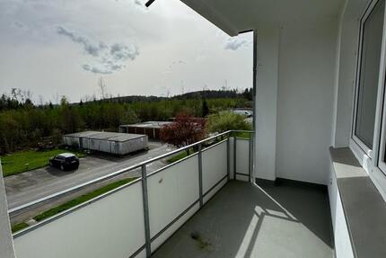 Frisch renovierte Wohnung 3 zimmer