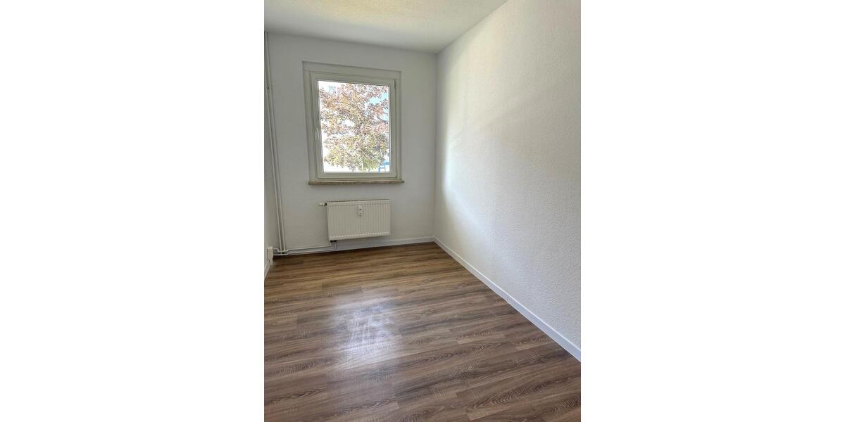 Etagenwohnung Hainichen - 3 Zimmer, 62 m&sup2;, 303&euro; | Angebot:25835507