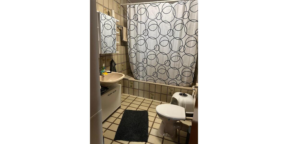 Dachgeschoßwohnung Mainhausen - 3 Zimmer, 68 m&sup2;, 800&euro; | Angebot:24454698