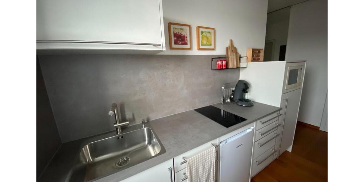 Wohnen auf Zeit Aschaffenburg Damm - 1 Zimmer, 33 m&sup2;, 820&euro; | Angebot:26659043