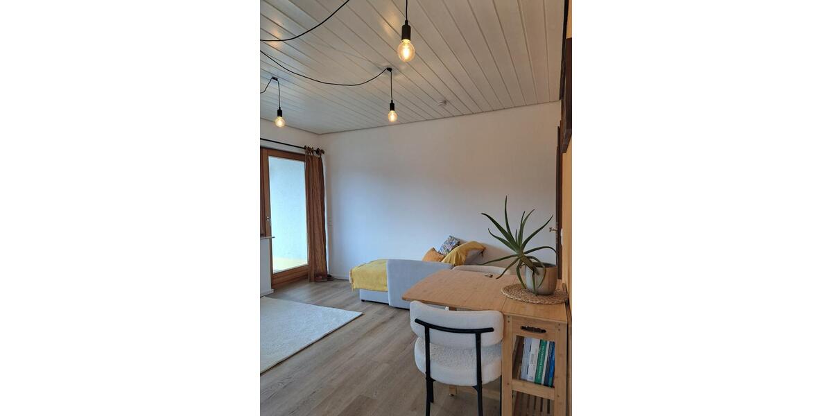 Wohnen auf Zeit Eisenbach (Hochschwarzwald) - 1 Zimmer, 30 m&sup2;, 600&euro; | Angebot:25677541