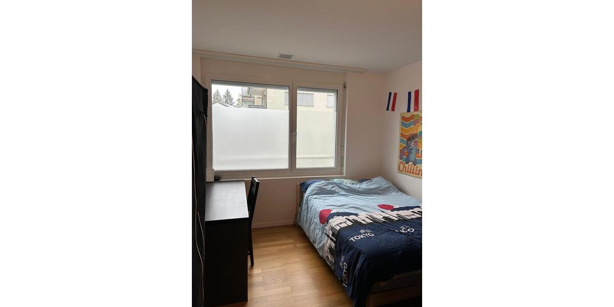 Wohnen auf Zeit Konstanz Allmannsdorf - 1 Zimmer, 18 m&sup2;, 830&euro; | Angebot:26434318