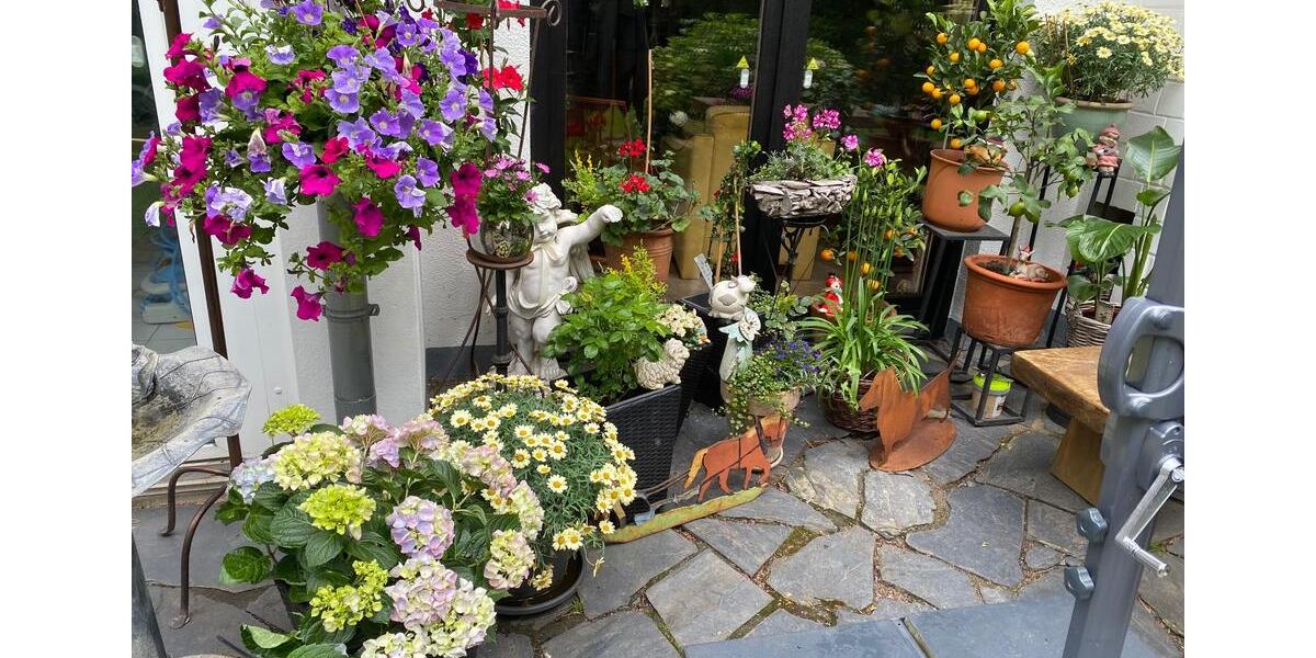 Wohnen auf Zeit Lachendorf - 1 Zimmer, 25 m&sup2;, 25&euro; | Angebot:19602771