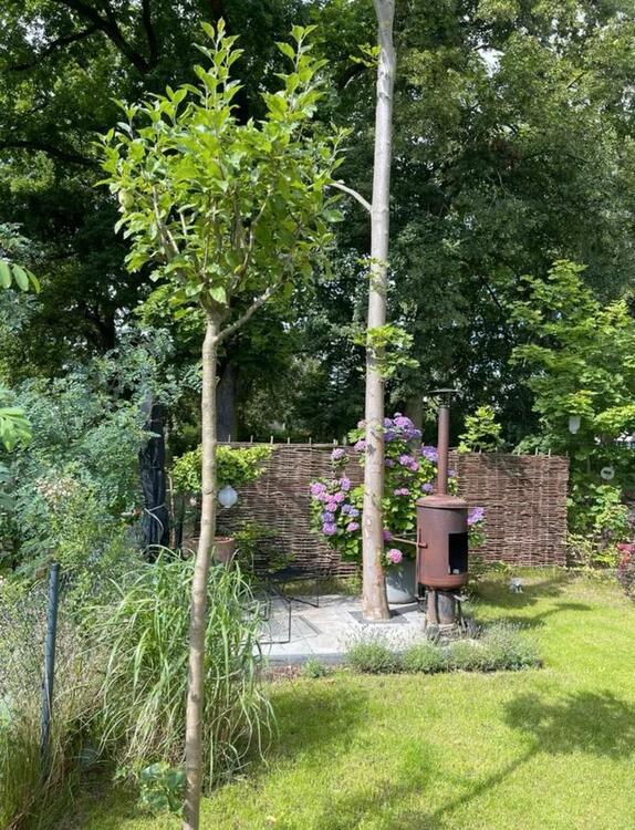 Doppelhaushälfte Potsdam - Fahrland zu vermieten! zimmer