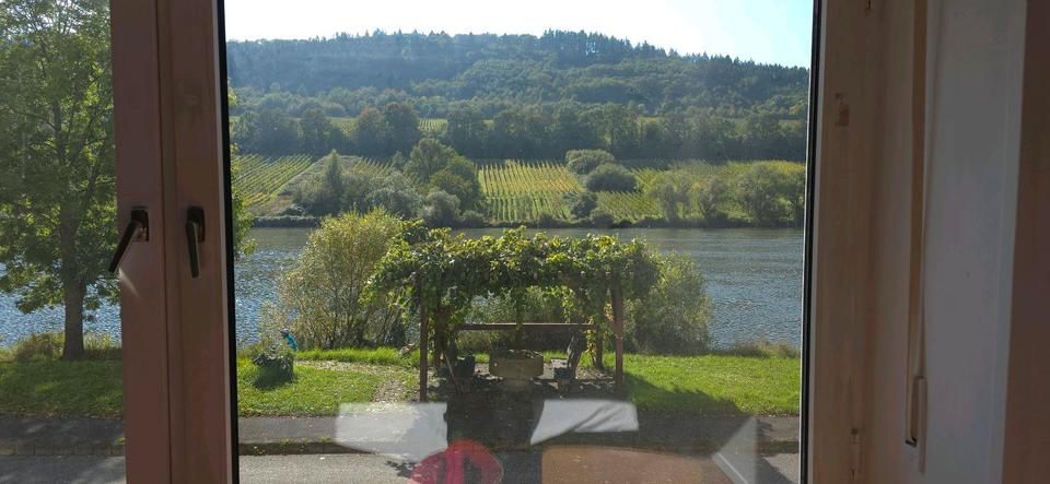 Etagenwohnung Zell (Mosel) - 2 Zimmer, 50 m&sup2;, 500&euro; | Angebot:25639678