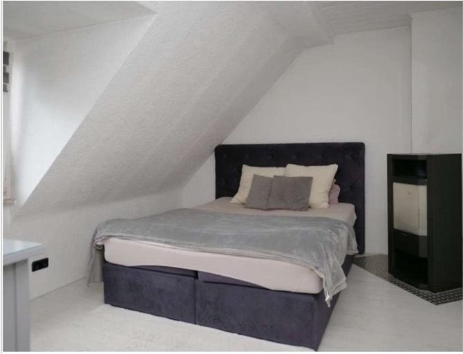 Dachgeschoßwohnung Mainz - 3 Zimmer, 45 m&sup2;, 790&euro; | Angebot:26702379