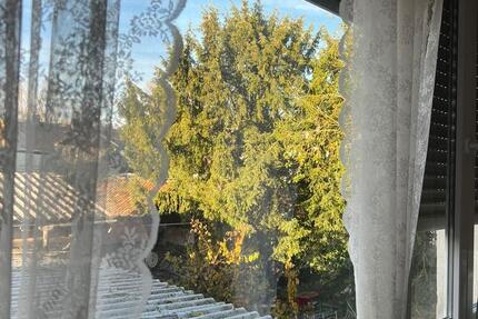 WG room available in jülich ,Lorsbecker Str ,1. Dec 1 zimmer