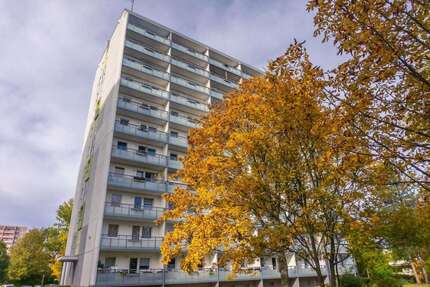 Wohnung zum Mieten in Chemnitz 215 € 35.82 m² 1 zimmer