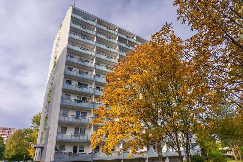 Wohnung zum Mieten in Chemnitz 215 € 35.82 m² 1 zimmer