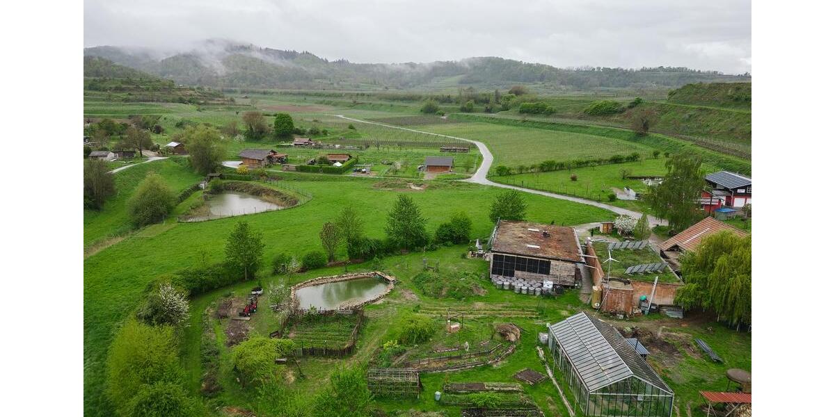 Wohnen auf Zeit für Studis: 3 WG-Zimmer im Gemeinschafts-Ökohaus 1 zimmer