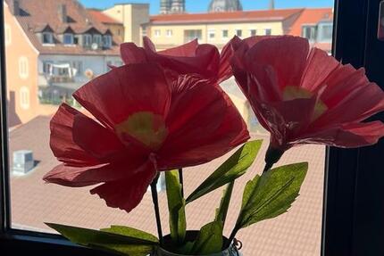 Wohnen auf Zeit Würzburg Sanderau - 1 Zimmer, 20 m&sup2;, 300&euro; | Angebot:24510749