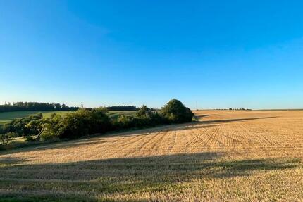 Neubau Mietwohnung ab Februar 26 zimmer