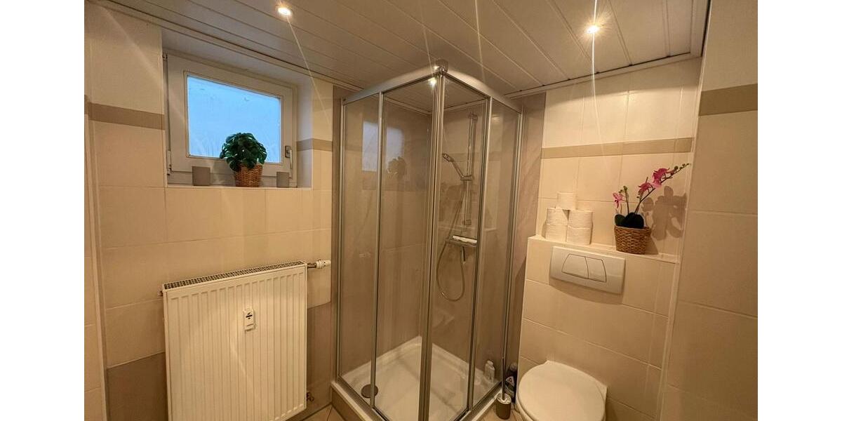 Wohnen auf Zeit Offenbach an der Queich - 1 Zimmer, 43 m&sup2;, 850&euro; | Angebot:24617315