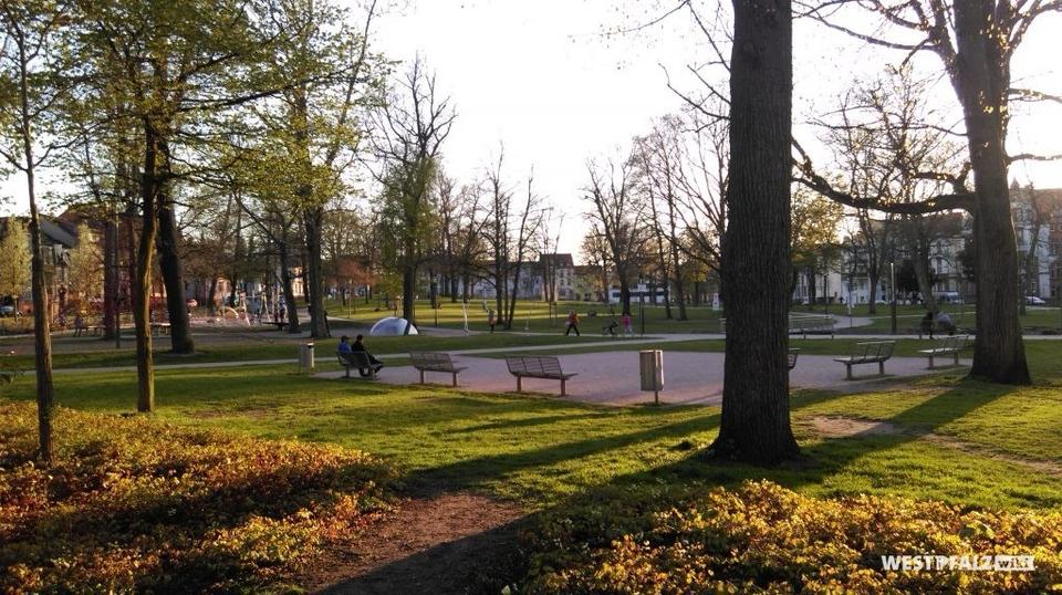 Einzel Büro in Top-Lage am Stadtpark zimmer
